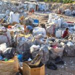 درآمد تفکیک زباله